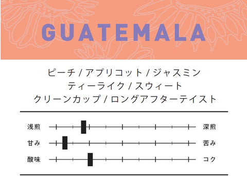 グアテマラ ゲイシャ