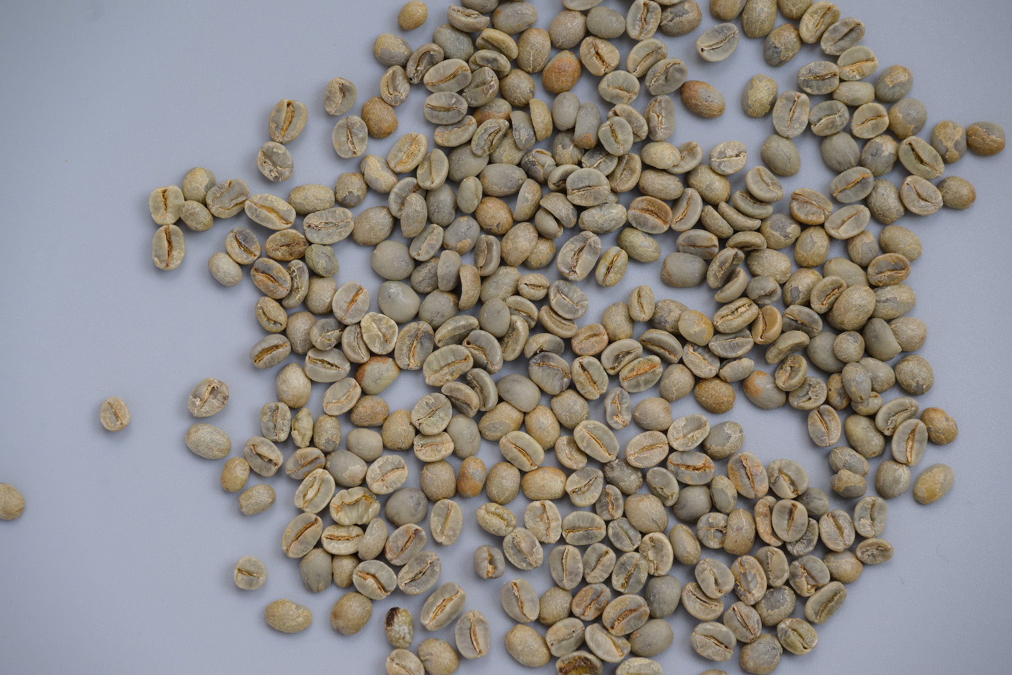 生豆セット コーヒー豆】”品種の王者”ゲイシャコーヒーセット（ギフト箱入り