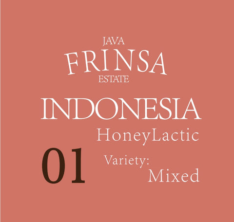 インドネシア　ハニーラクティック Mixed［Java Frinsa Estate］