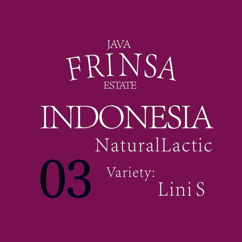 【コンプリートセット】インドネシア3種セット［Java Frinsa Estate］