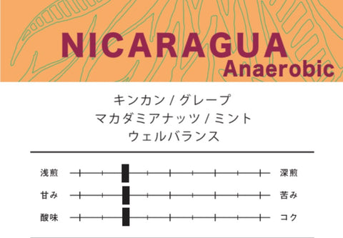 《サイの日》ニカラグア 250g +100g